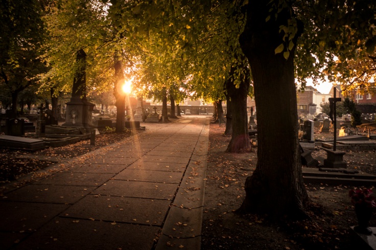 Autumn Fantasy : lever de soleil au cimetière (Robermont) - Photo : Gilderic