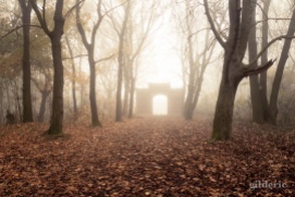 Autumn Fantasy : The Portal of Misty Dreams - Photo : Gilderic