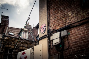 The General is Watching You- Lille - Photo : Gilderic
