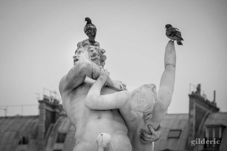 Dieux antiques et pigeons